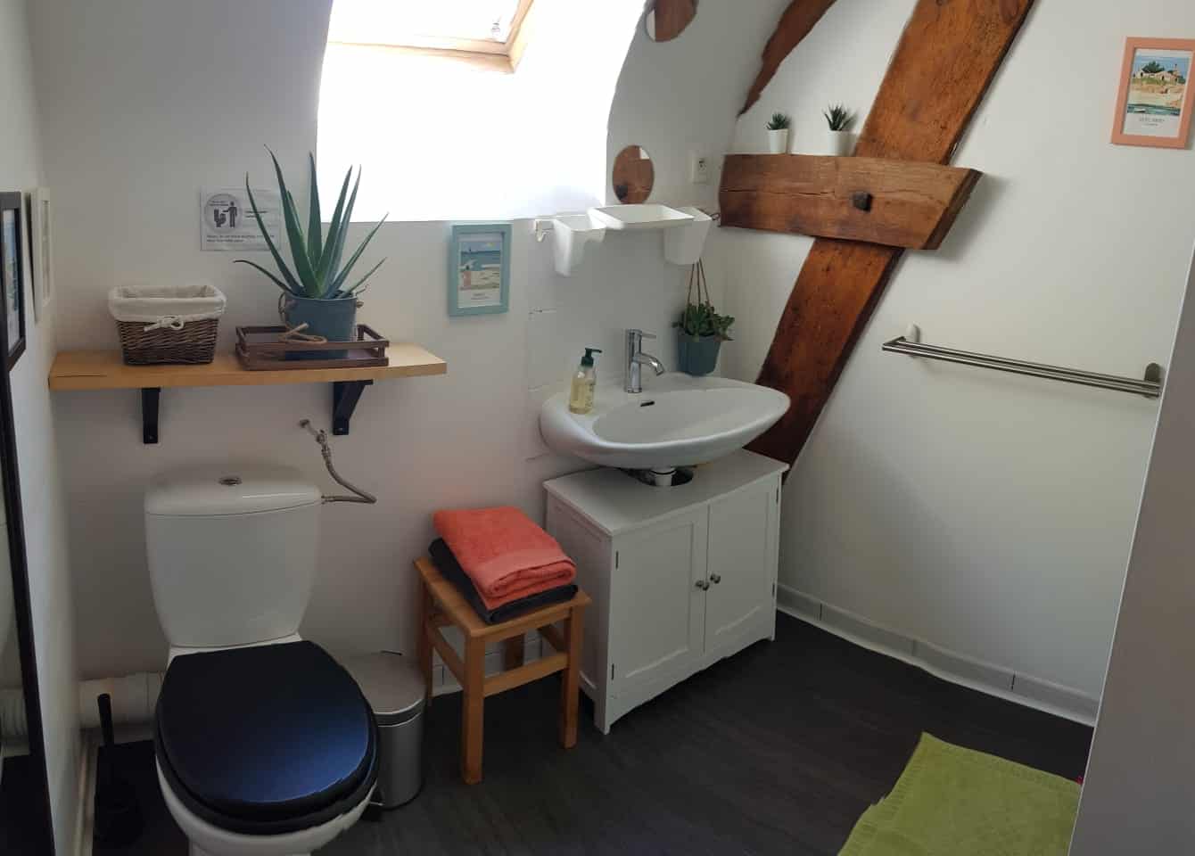 la salle de bain du studio est lumineuse et possède une grande douche. la décoration est idéale pour se sentir dépayser avec des poutres apparentes et des plantes vertes